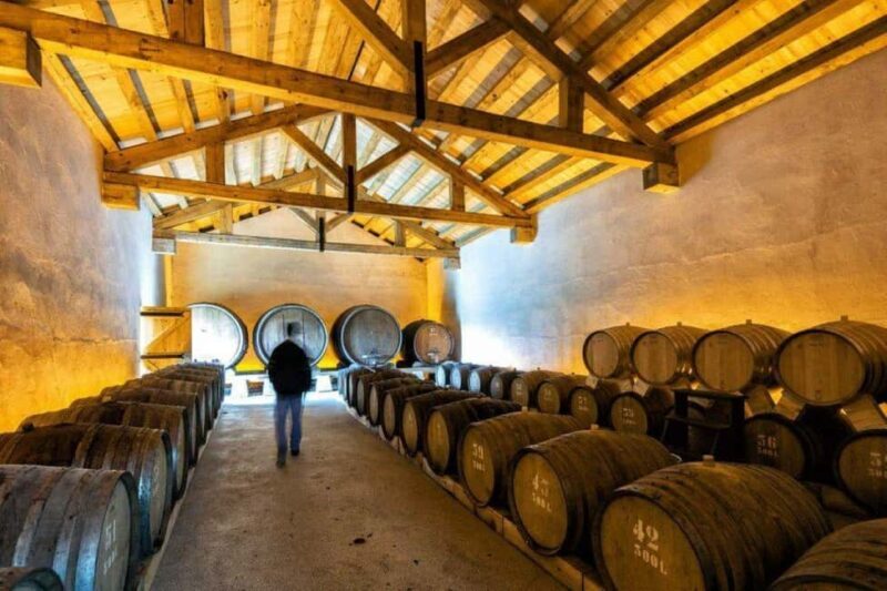 Porto: Private tour in Bairrada - From wine to suckling pig with tradition. - The Itinerary Breakdown