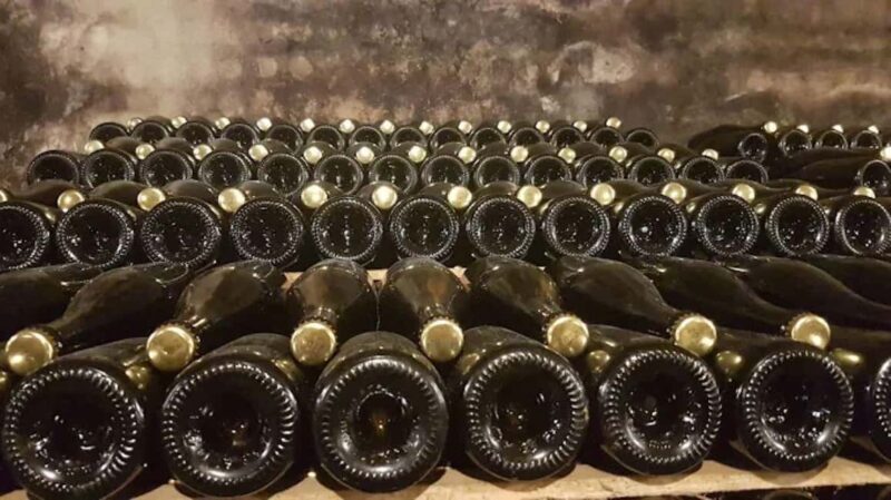 Porto: Private tour in Bairrada - From wine to suckling pig with tradition. - What Makes This Tour Stand Out