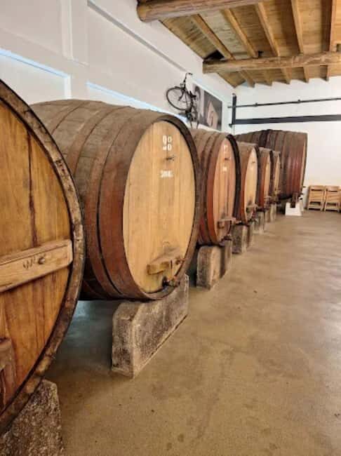 Porto: Private tour in Bairrada - From wine to suckling pig with tradition. - Who Will Love This Tour?