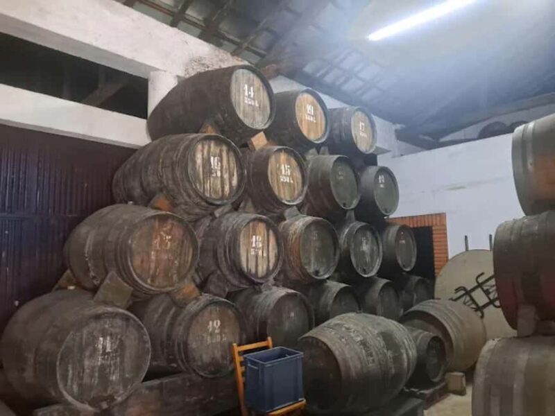 Porto: Private tour in Bairrada - From wine to suckling pig with tradition. - Final Thoughts