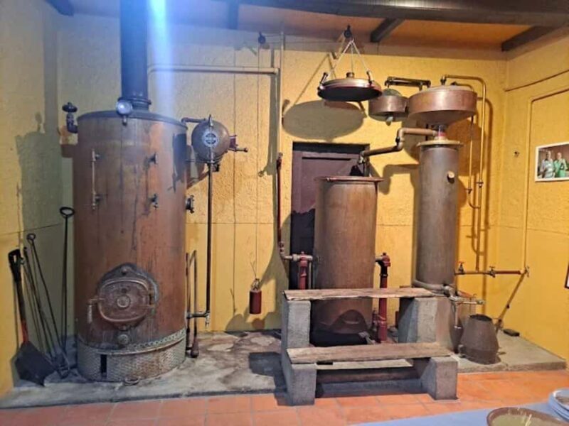 Porto: Private tour in Bairrada - From wine to suckling pig with tradition. - FAQ