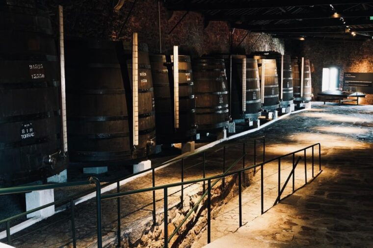 Porto: private tour with premium tasting at Fonseca cellars - The Experience for Different Types of Travelers