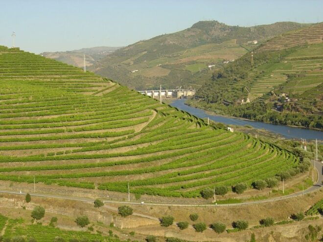 Porto: Private Transfer to Douro Valley - Driver Information