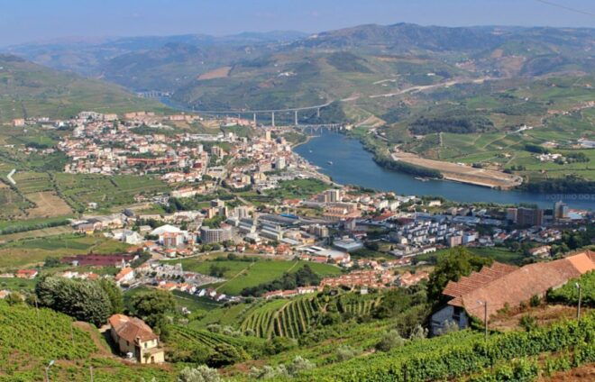 Porto: Private Transfer to Douro Valley - Vehicle Features