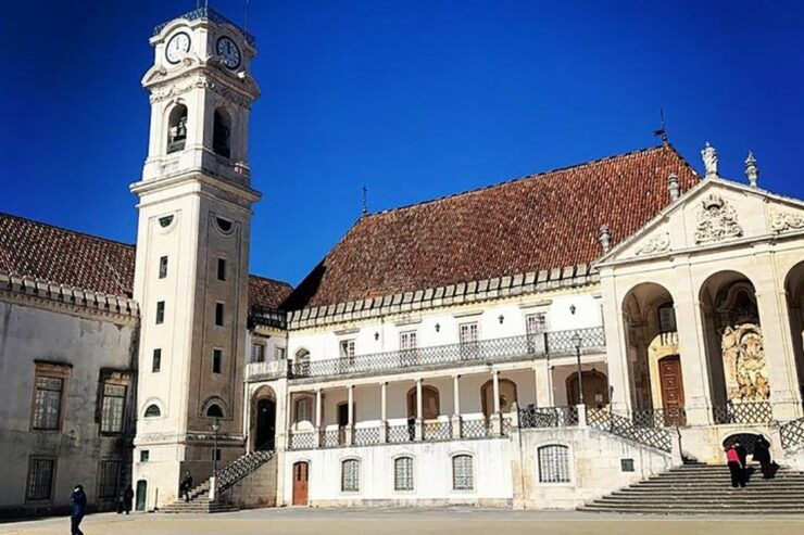 Porto: Private Transfer to Lisbon With Stops up to 3 Cities - Vibrant Moliceiros Boats in Aveiro