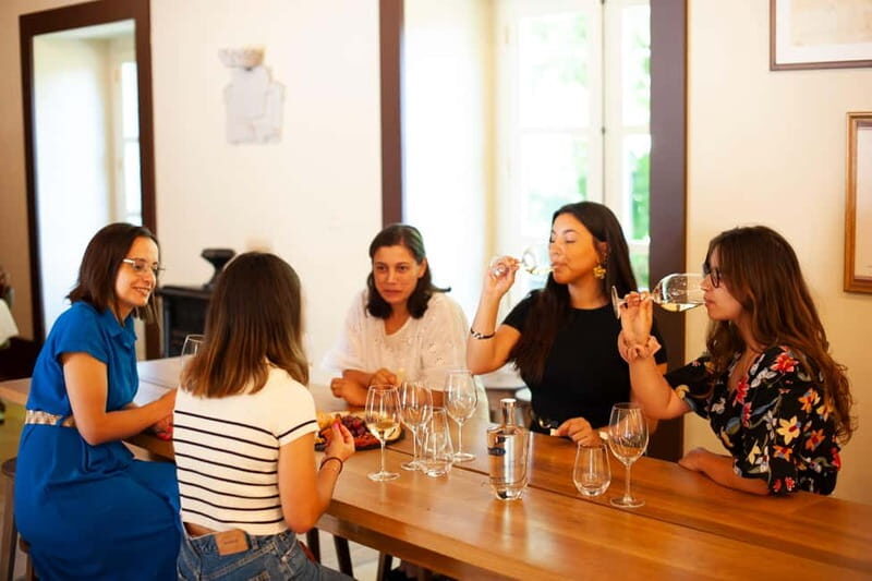 Porto: Qta da Aveleda Enchanted Gardens & Green Wine - The Wine Tasting: A Focus on Green Wines