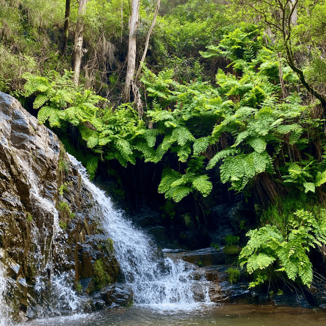 Porto Rio Mau: Hiking, Waterfalls, Lunch. - Itinerary Details