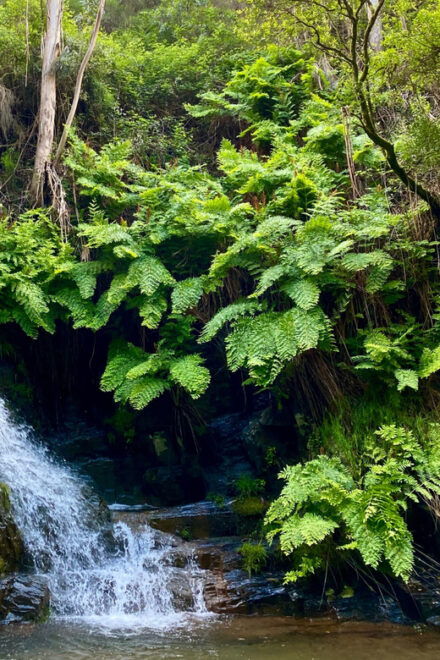 Porto Rio Mau: Hiking, Waterfalls, Lunch. - Included Amenities