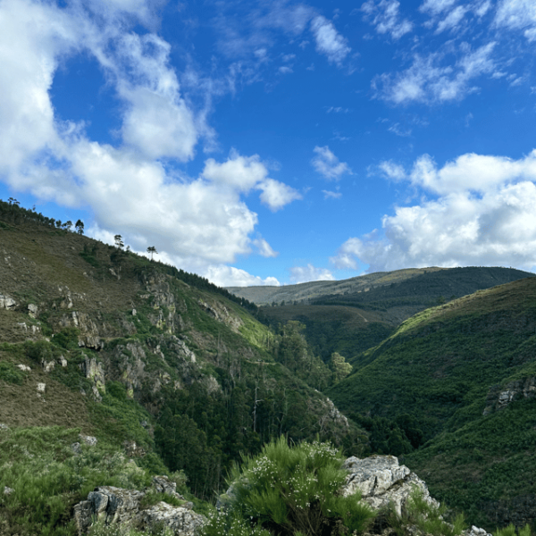 Porto Rio Mau: Hiking, Waterfalls, Lunch. - Meal and Dietary Options
