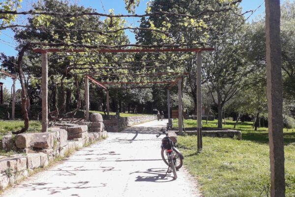 Porto Riverbank Tour on an E-Bike: Atlantic Coast, Gardens - The Sum Up