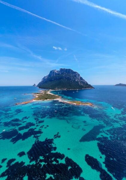 Porto San Paolo: Day Tour to Tavolara and Molara Fish-Lunch - Food & Drinks
