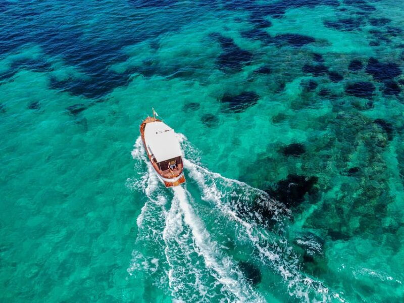 Porto San Paolo: Day Tour to Tavolara and Molara fish-Lunch - An Insider’s Look at the Itinerary
