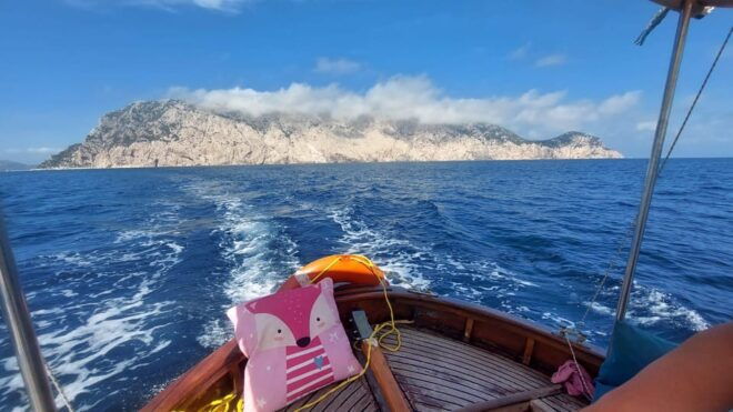 Porto San Paolo: Day Tour to Tavolara and Molara Fish-Lunch - Onboard Experience