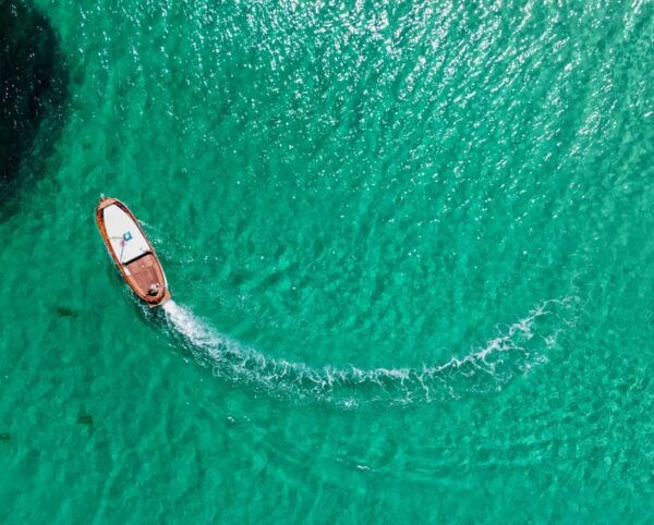 Porto San Paolo: Day Tour to Tavolara and Molara Fish-Lunch - Booking Details