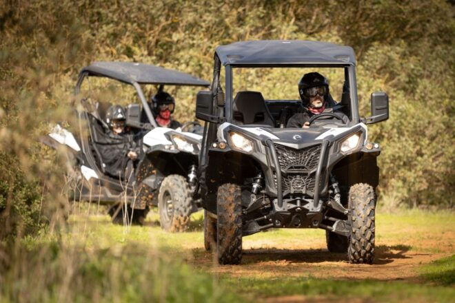 Porto Santo: 180 Minutes Off-Road Buggy Tour - Tour Description