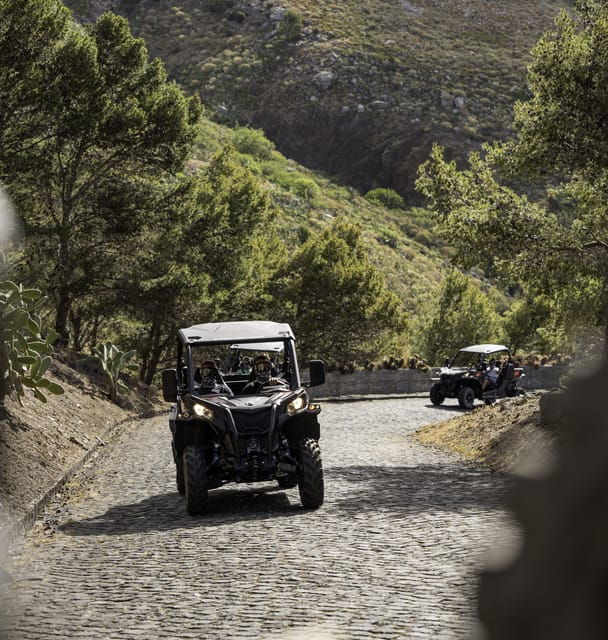 Porto Santo: 90 Minutes Off-Road Buggy Tour - Customer Feedback