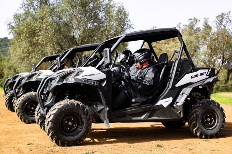 Porto Santo: 90 Minutes Off-Road Buggy Tour - Tour Inclusions
