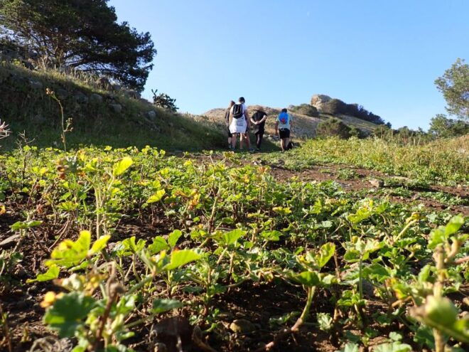 Porto Santo - Ana Ferreira Hiking Tour - Inclusions and Exclusions