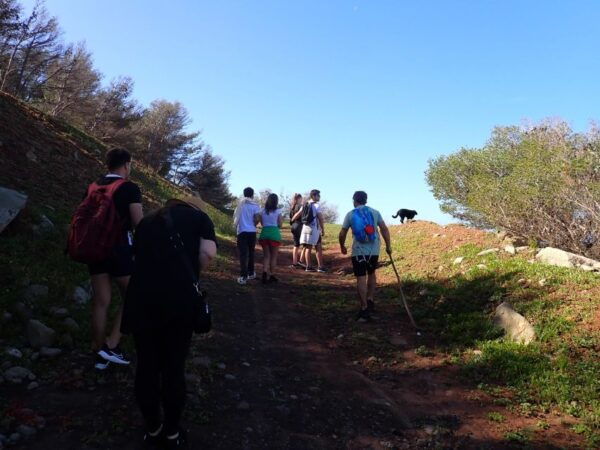 Porto Santo - Ana Ferreira Hiking Tour - Booking and Experience Information