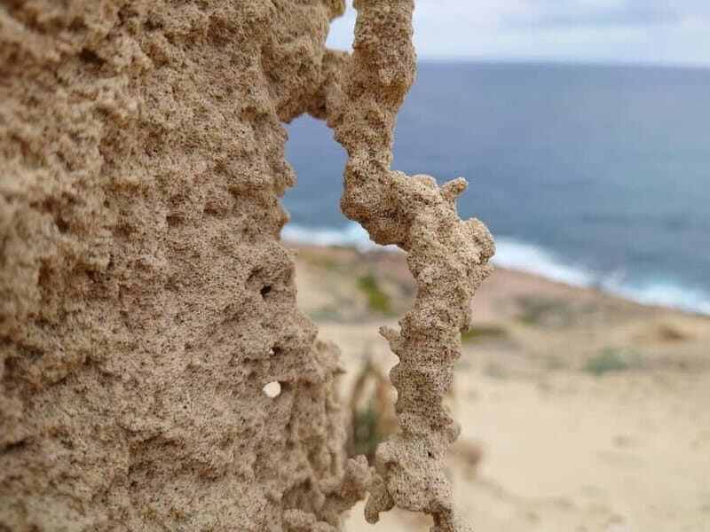 Porto Santo: Island Highlights 4x4 Tour with Hotel Transfers - Final Thoughts on Value and Experience