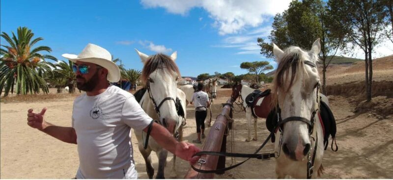 Porto Santo Island: Horse Riding - A Closer Look at the Experience
