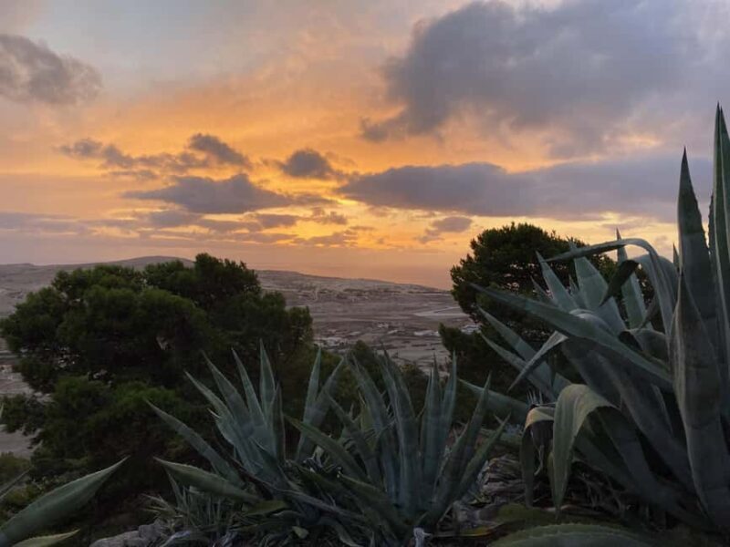 Porto Santo, Photographic whole island tour - Price and Value