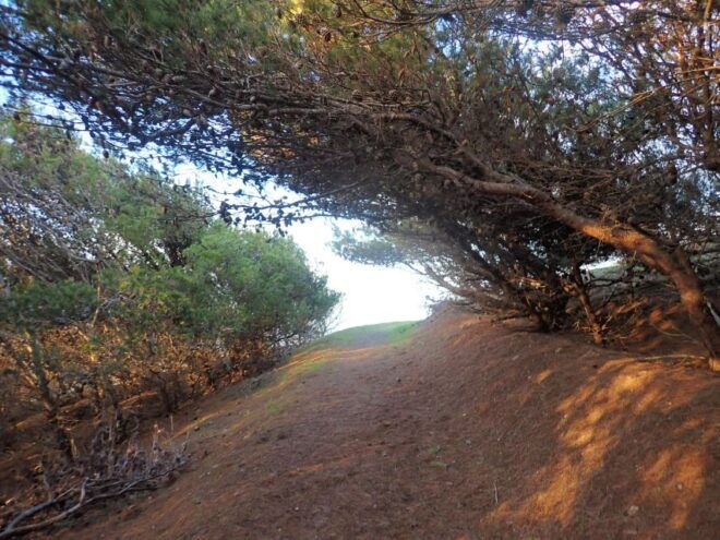 Porto Santo - Pico Do Facho Hiking Tour - Experience and Highlights