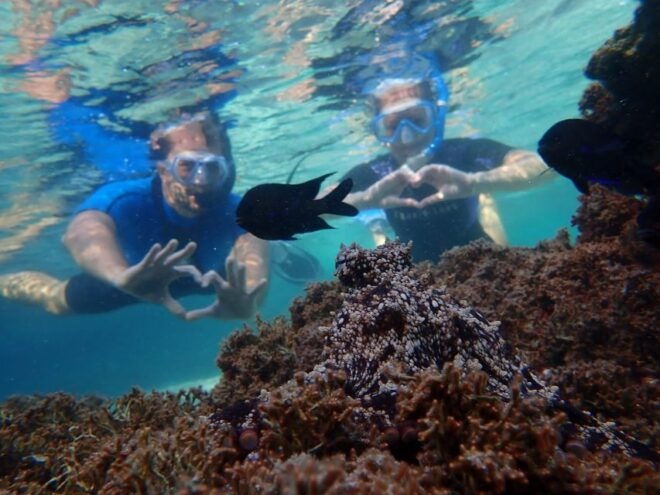Porto Santo: Snorkeling Tour - Full Description