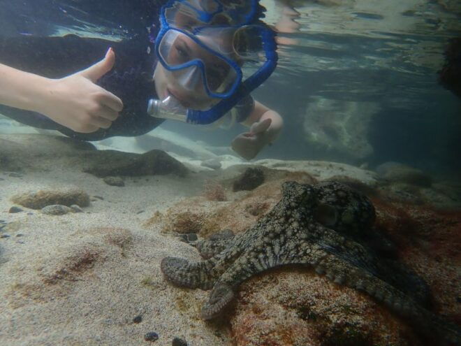 Porto Santo: Snorkeling Tour - Review Summary