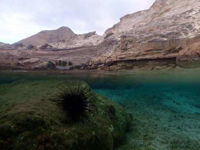 Porto Santo: Snorkeling Tour - Additional Information