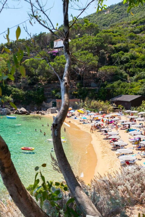 Porto Santo Stefano: Argentario Luxury Yacht Excursion - Good To Know