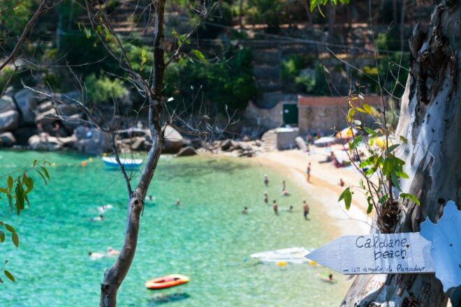 Porto Santo Stefano: Giglio & Giannutri Mini Cruise and Meal - Experience Highlights
