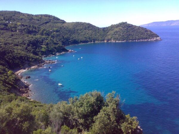 Porto Santo Stefano: Giglio & Giannutri Mini Cruise and Meal - Additional Tips