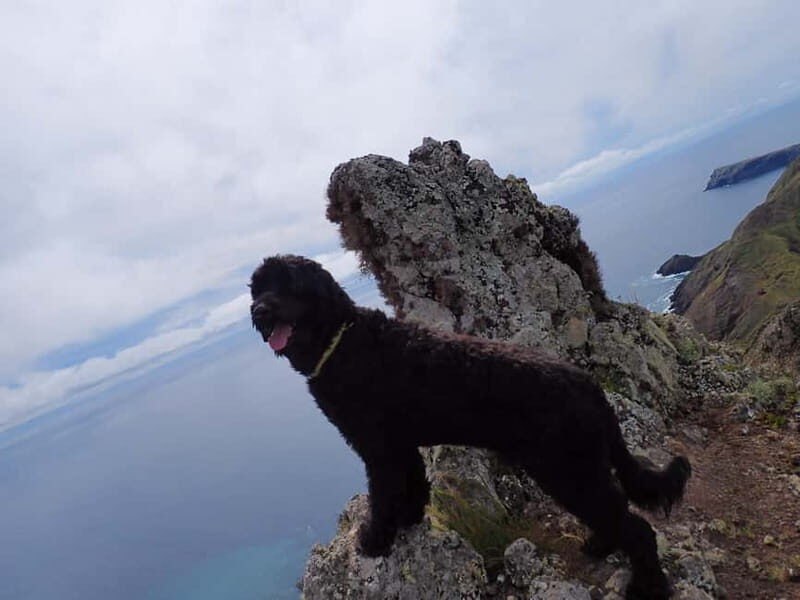 Porto Santo: Terra Chã and Pico Branco Hiking tour - The Sum Up: Why This Tour Is Worth Considering