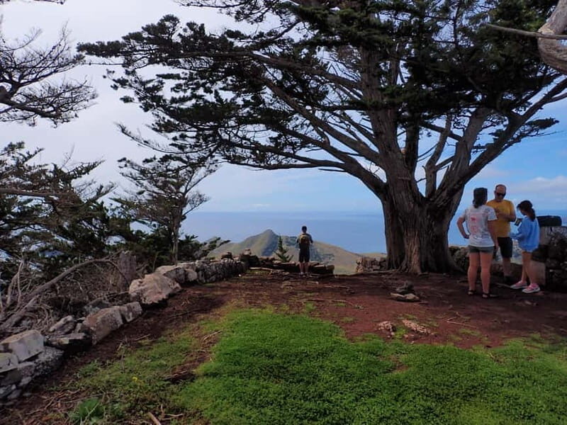 Porto Santo: Terra Chã and Pico Branco Hiking tour - FAQ