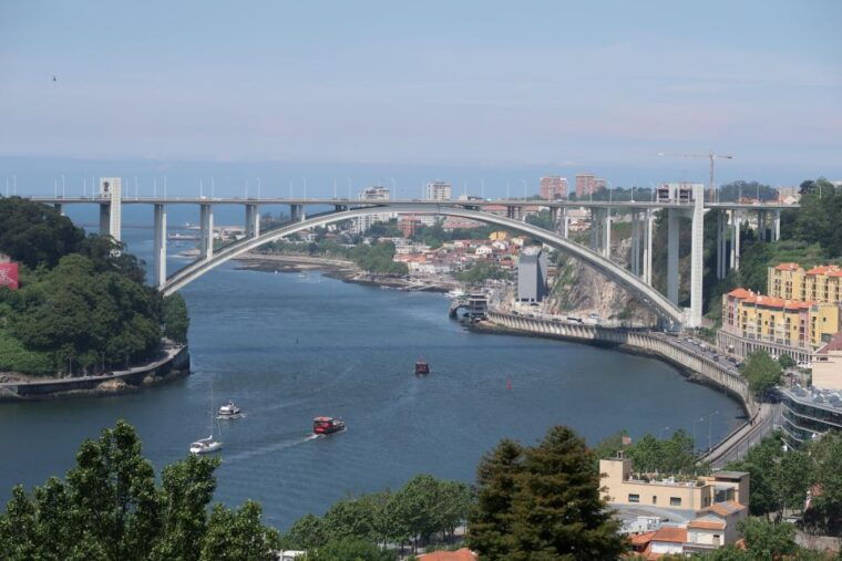 Porto: Self-Guided Bike and Boat Tour with Port Wine Tasting - Port Wine Tasting and Cultural Insights
