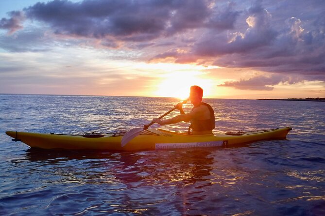 PORTO SELVAGGIO Sea Kayak Tour + Cold Spring Immersion - Tour Highlights and Inclusions