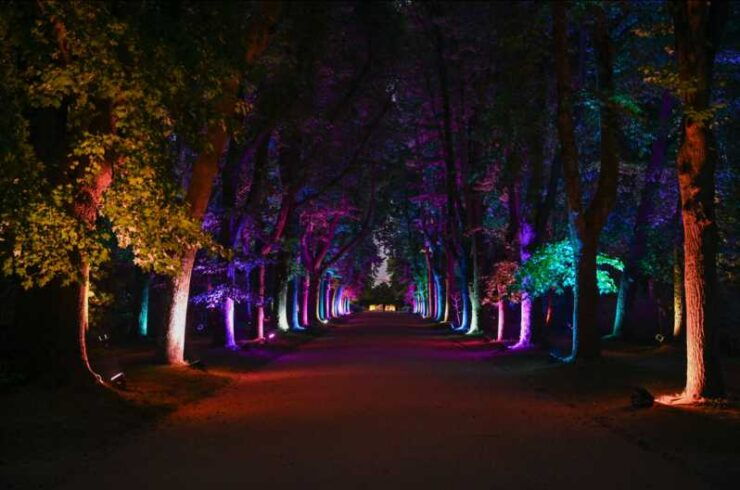 Porto: Serralves Em Luz Immersive Light Show Entry Ticket - Experience Highlights