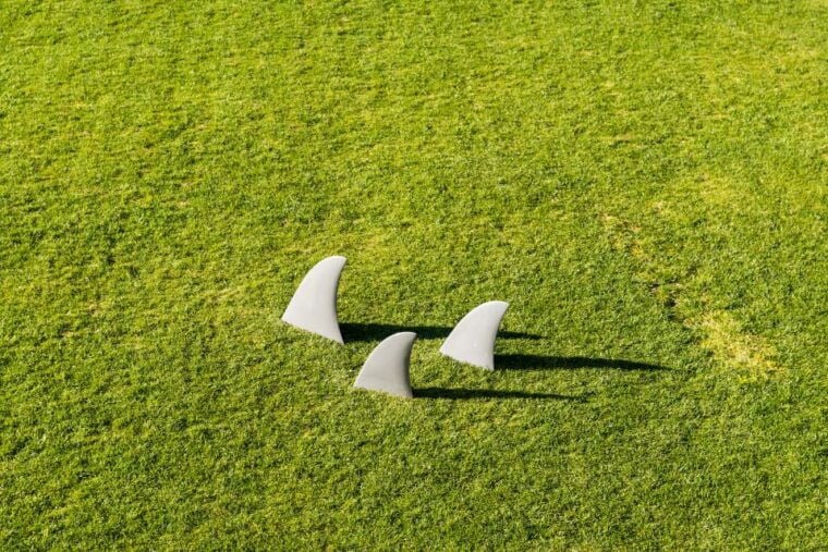 Porto: Serralves Foundation All Access Pass - Authentic Experiences from Reviews