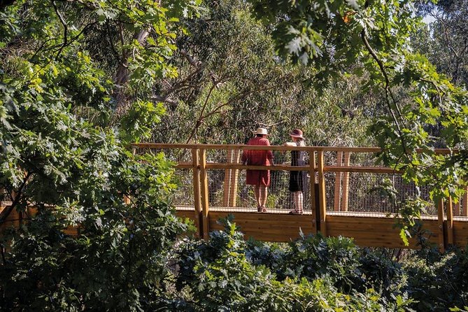 Porto: Serralves Foundation - Events and Exhibitions