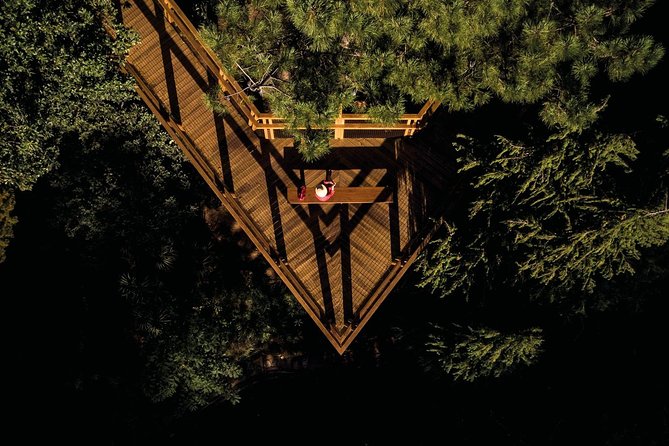 Porto: Serralves Foundation - Tips for Visiting