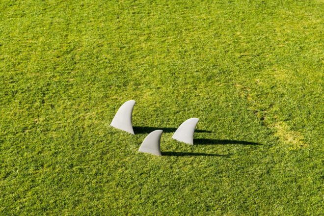 Porto: Serralves Foundation Entry Ticket - Reserve Now & Pay Later