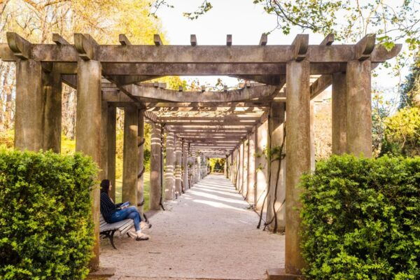 Porto: Serralves Foundation Entry Ticket - The Sum Up