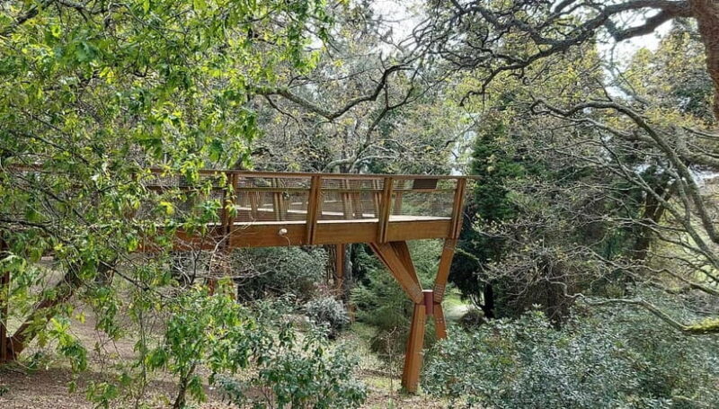 Porto: Serralves Gardens Art and Architecture Walking Tour - Good To Know