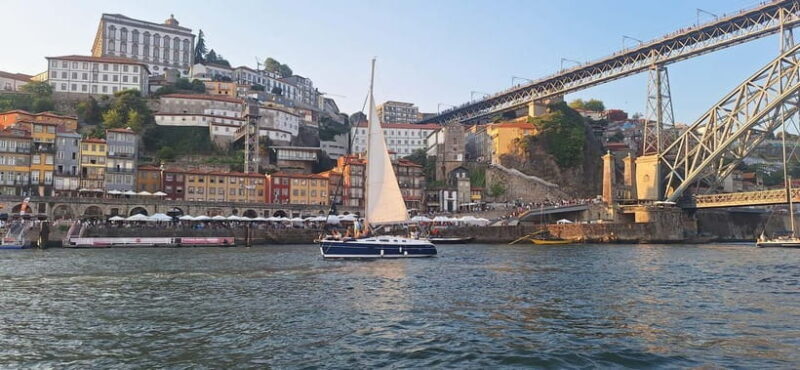 Porto: Shared Daily Tour, with drinks&snacks - Why This Tour Is Worth the Price