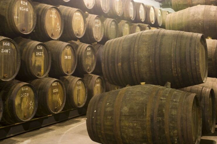 Porto: Skip-The-Line Port Wine Tour With 7 Tastings - Experience Highlights