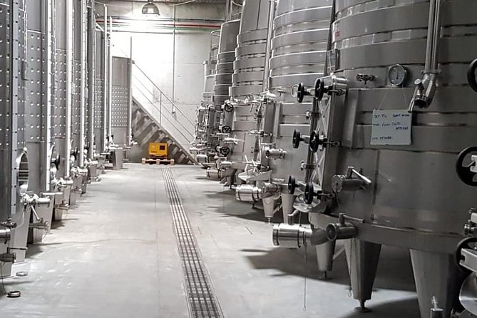 Porto Small-Group Dao Wine Region Tour - Reviews