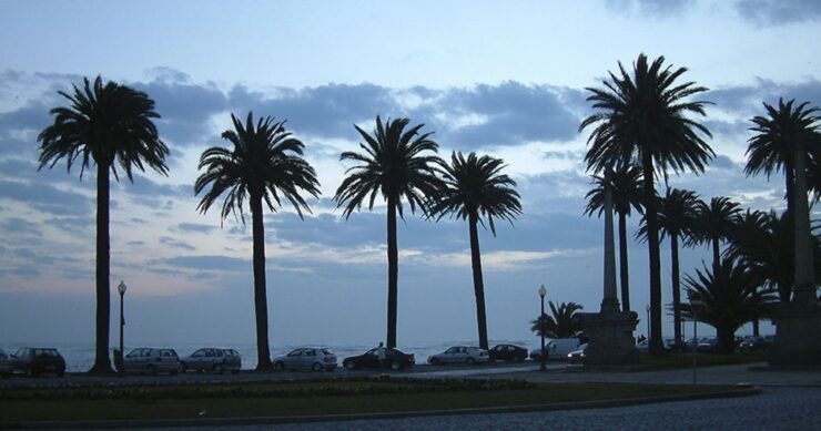Porto Sunset Bike Tour - Booking Information