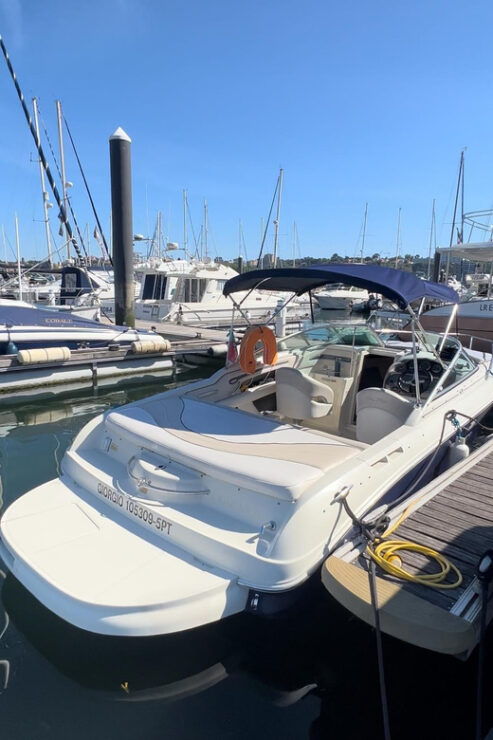 Porto: Sunset Cruise - Sea Ray Sun & Sport - 1-5 Ppl - Booking Information