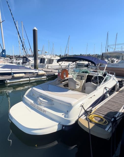 Porto: Sunset Cruise - Sea Ray Sun & Sport - 1-5 Ppl - Water Sport Options